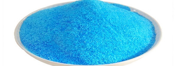 Đồng Sunfat CuSO₄ Là Gì? Khả Năng Diệt Rêu Và Nguy Cơ Nhiễm Kim Loại Đồng Sunfat CuSO₄ Là Gì? Khả Năng Diệt Rêu Và Nguy Cơ Nhiễm Kim Loại