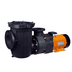 Máy Bơm Hồ Bơi Thương Mại 20HP 3 Pha Glong FCP-20AN (15kW)