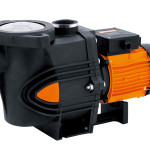 Máy Bơm Hồ Bơi 2HP Glong PPC50-200 (1.5kW)