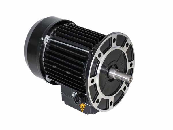 Motor máy bơm bể bơi Flooder