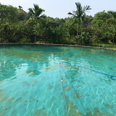 Hút cặn bể bơi
