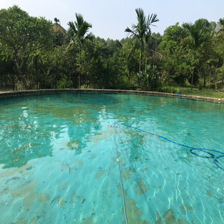 Hút đáy bể bơi