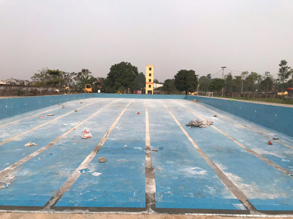Ốp lát gạch kẻ phân làn bơi